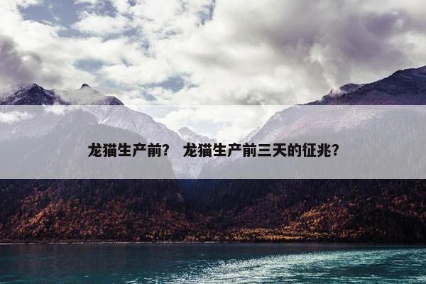 龙猫生产前？ 龙猫生产前三天的征兆？