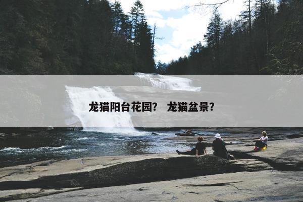 龙猫阳台花园？ 龙猫盆景？