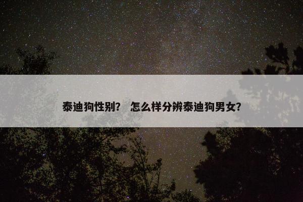 泰迪狗性别？ 怎么样分辨泰迪狗男女？