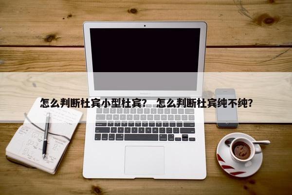 怎么判断杜宾小型杜宾？ 怎么判断杜宾纯不纯？