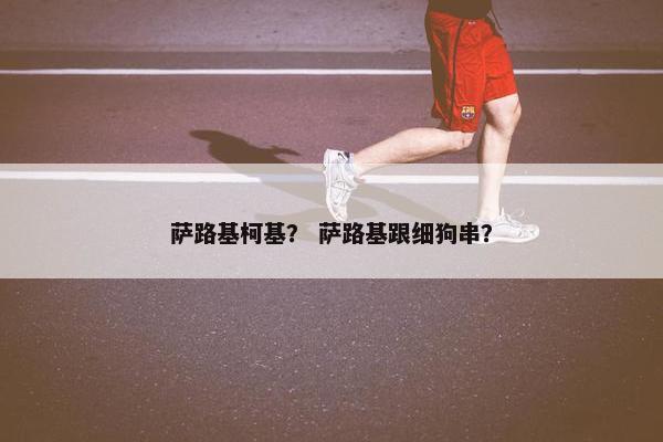 萨路基柯基？ 萨路基跟细狗串？
