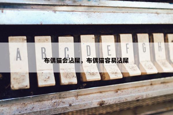 布偶猫会沾屎，布偶猫容易沾屎