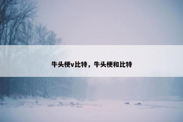 牛头梗v比特，牛头梗和比特