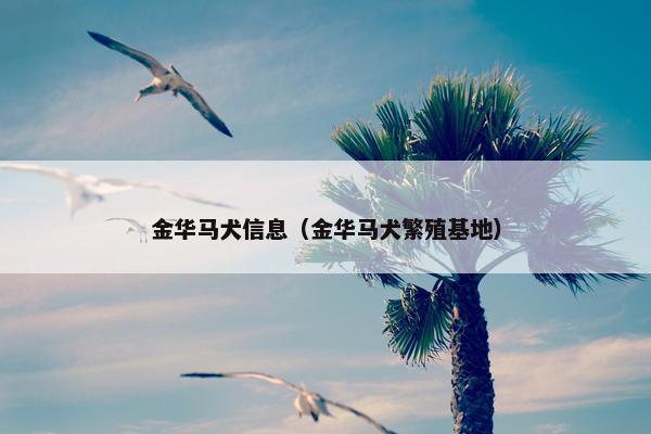 金华马犬信息（金华马犬繁殖基地）