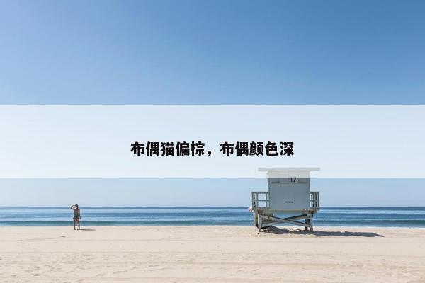 布偶猫偏棕，布偶颜色深