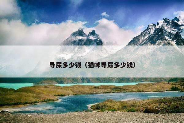 导尿多少钱（猫咪导尿多少钱）