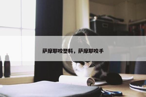 萨摩耶咬塑料，萨摩耶咬手