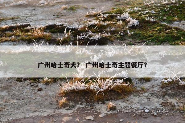 广州哈士奇犬？ 广州哈士奇主题餐厅？