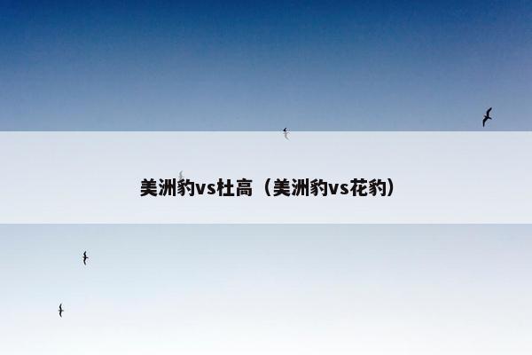 美洲豹vs杜高（美洲豹vs花豹）