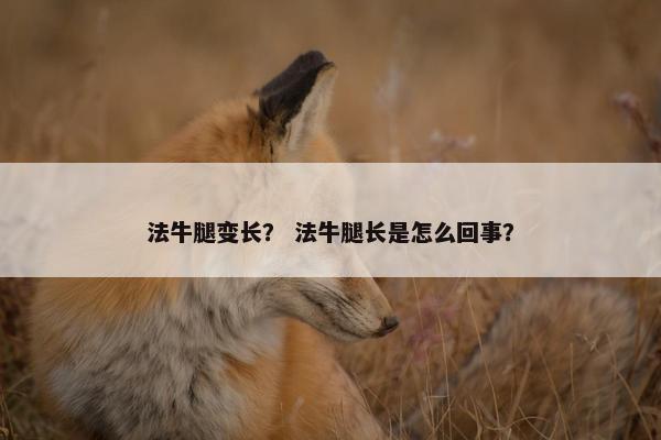 法牛腿变长？ 法牛腿长是怎么回事？