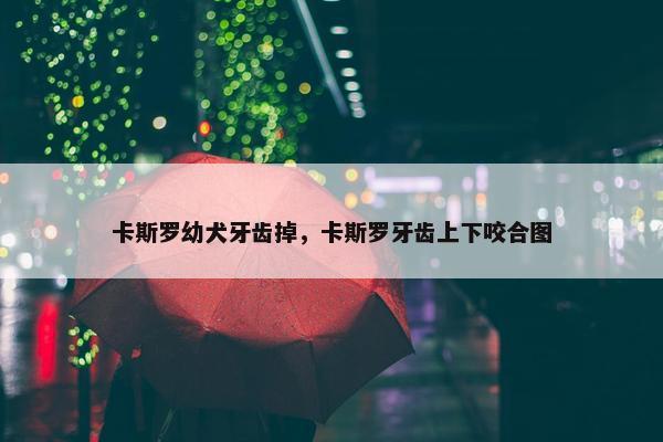 卡斯罗幼犬牙齿掉，卡斯罗牙齿上下咬合图