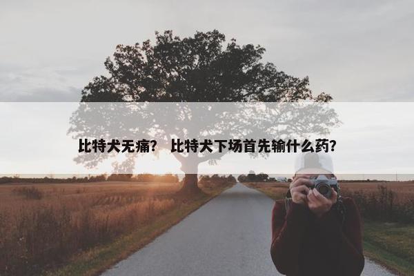 比特犬无痛？ 比特犬下场首先输什么药？