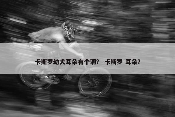 卡斯罗幼犬耳朵有个洞？ 卡斯罗 耳朵？