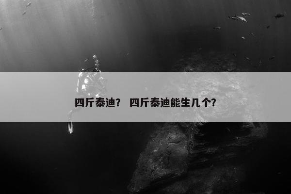 四斤泰迪？ 四斤泰迪能生几个？