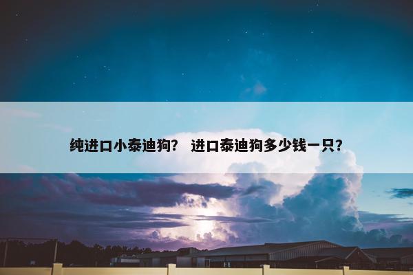 纯进口小泰迪狗？ 进口泰迪狗多少钱一只？
