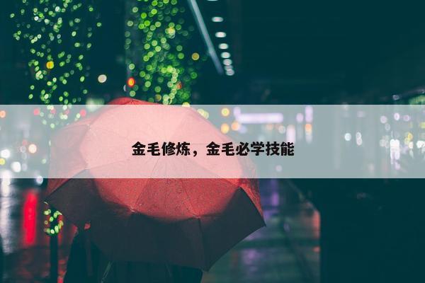 金毛修炼，金毛必学技能