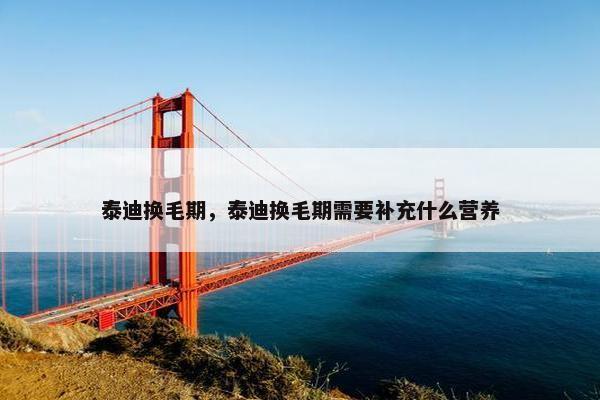 泰迪换毛期，泰迪换毛期需要补充什么营养