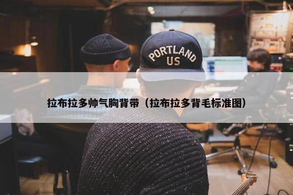 拉布拉多帅气胸背带（拉布拉多背毛标准图）