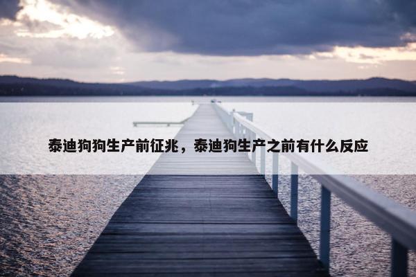 泰迪狗狗生产前征兆，泰迪狗生产之前有什么反应