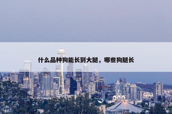 什么品种狗能长到大腿，哪些狗腿长