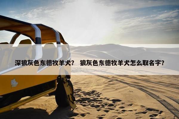 深狼灰色东德牧羊犬？ 狼灰色东德牧羊犬怎么取名字？