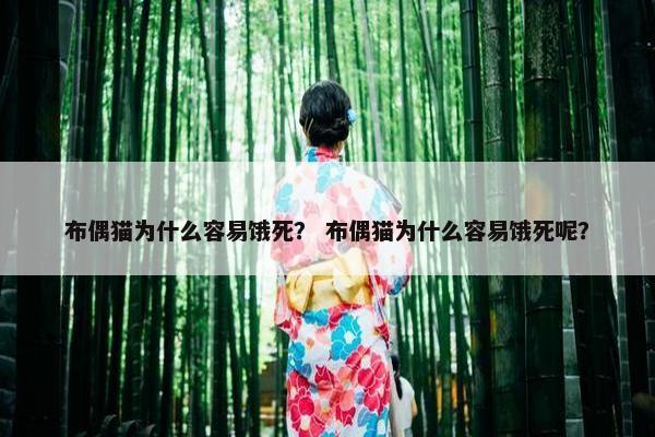 布偶猫为什么容易饿死？ 布偶猫为什么容易饿死呢？