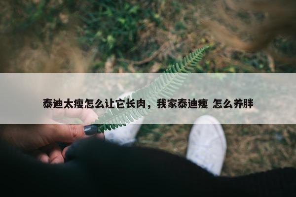 泰迪太瘦怎么让它长肉，我家泰迪瘦 怎么养胖