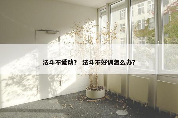 法斗不爱动？ 法斗不好训怎么办？