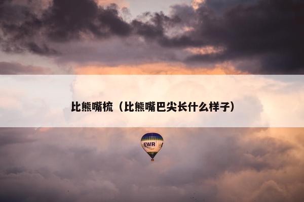比熊嘴梳（比熊嘴巴尖长什么样子）