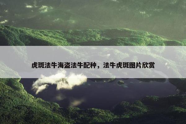 虎斑法牛海盗法牛配种，法牛虎斑图片欣赏