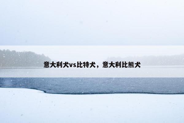 意大利犬vs比特犬，意大利比熊犬