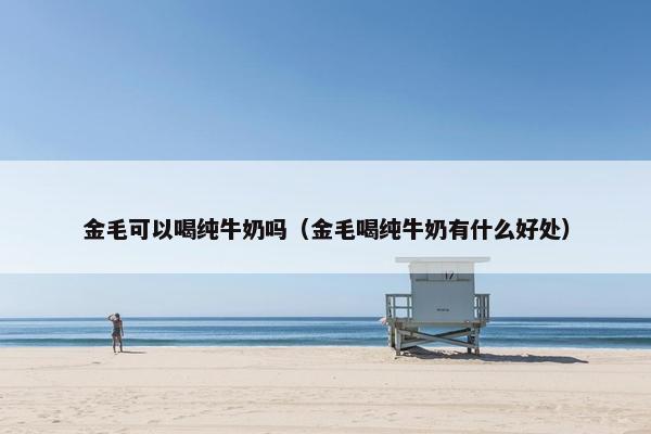 金毛可以喝纯牛奶吗（金毛喝纯牛奶有什么好处）