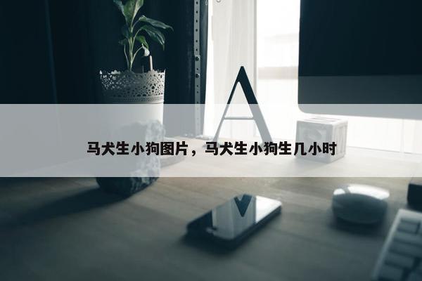 马犬生小狗图片，马犬生小狗生几小时