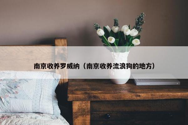 南京收养罗威纳（南京收养流浪狗的地方）