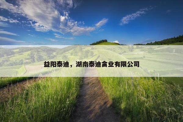 益阳泰迪，湖南泰迪禽业有限公司