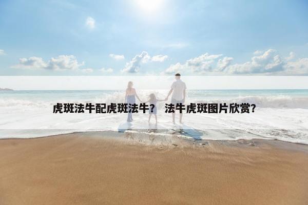 虎斑法牛配虎斑法牛？ 法牛虎斑图片欣赏？