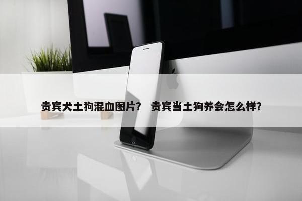 贵宾犬土狗混血图片？ 贵宾当土狗养会怎么样？