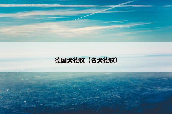 德国犬德牧（名犬德牧）