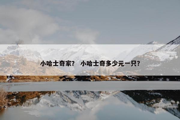 小哈士奇家？ 小哈士奇多少元一只？