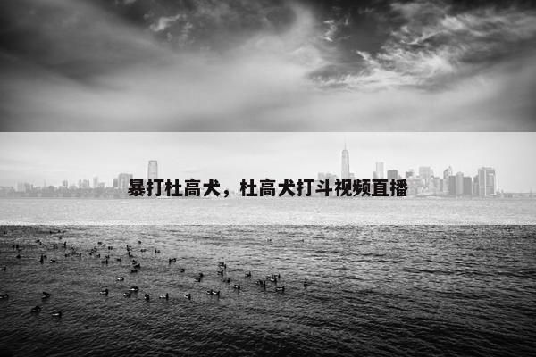 暴打杜高犬，杜高犬打斗视频直播