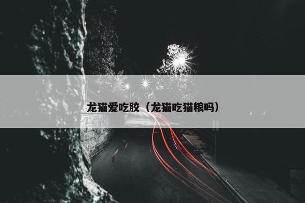 龙猫爱吃胶（龙猫吃猫粮吗）
