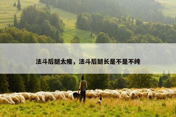 法斗后腿太瘦，法斗后腿长是不是不纯