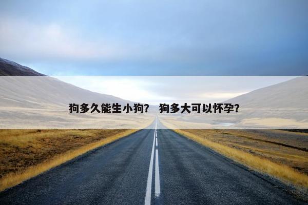 狗多久能生小狗？ 狗多大可以怀孕？