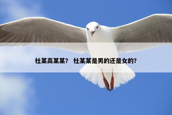 杜某高某某？ 杜某某是男的还是女的？