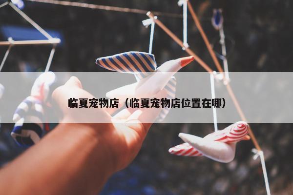 临夏宠物店（临夏宠物店位置在哪）