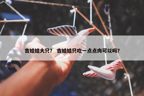 吉娃娃大只？ 吉娃娃只吃一点点肉可以吗？