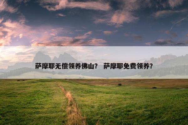萨摩耶无偿领养佛山？ 萨摩耶免费领养？