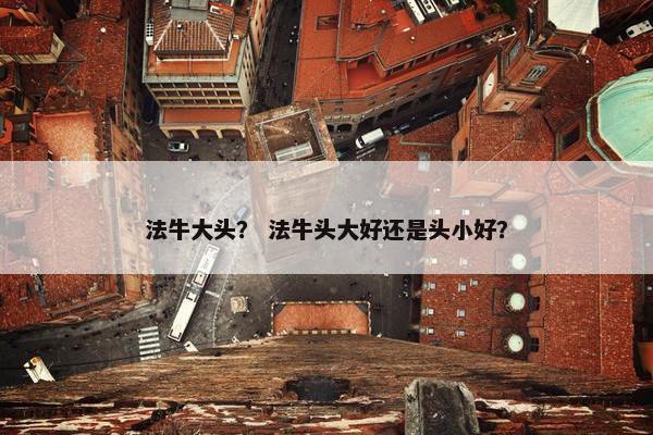 法牛大头？ 法牛头大好还是头小好？