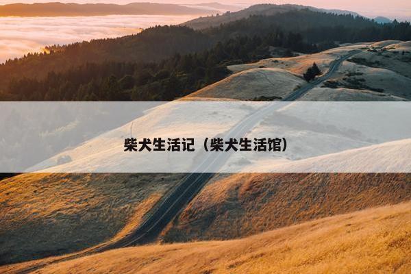 柴犬生活记（柴犬生活馆）