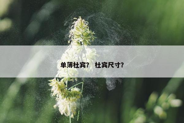 单薄杜宾？ 杜宾尺寸？
